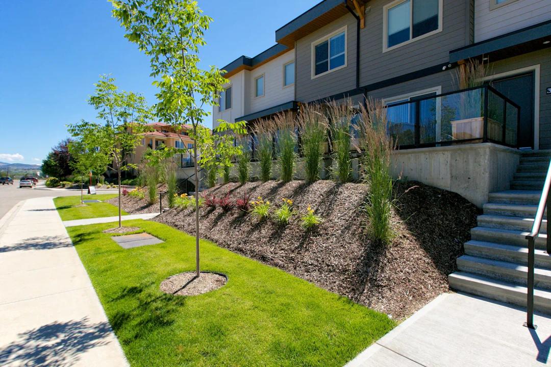 3626 mission springs drive