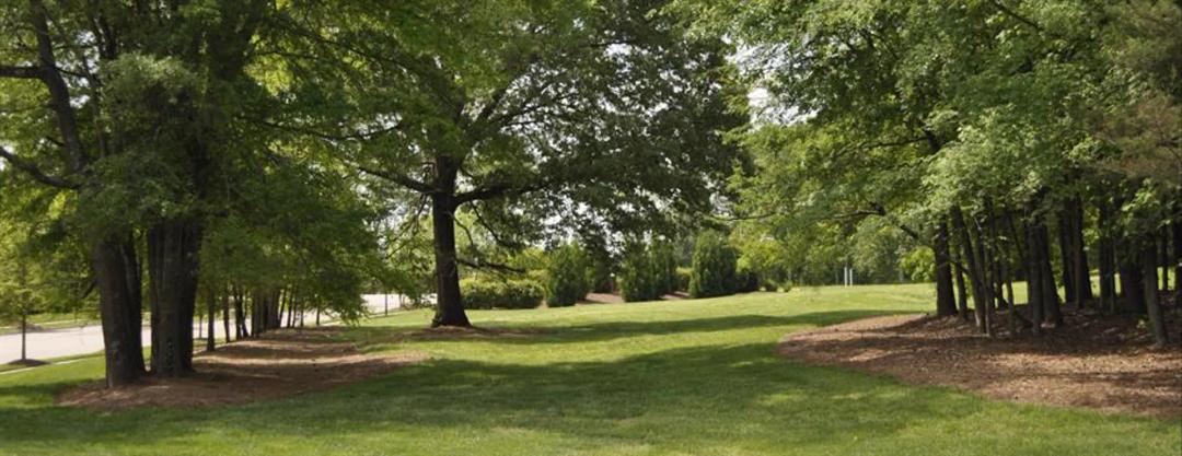 3 north elmer drive