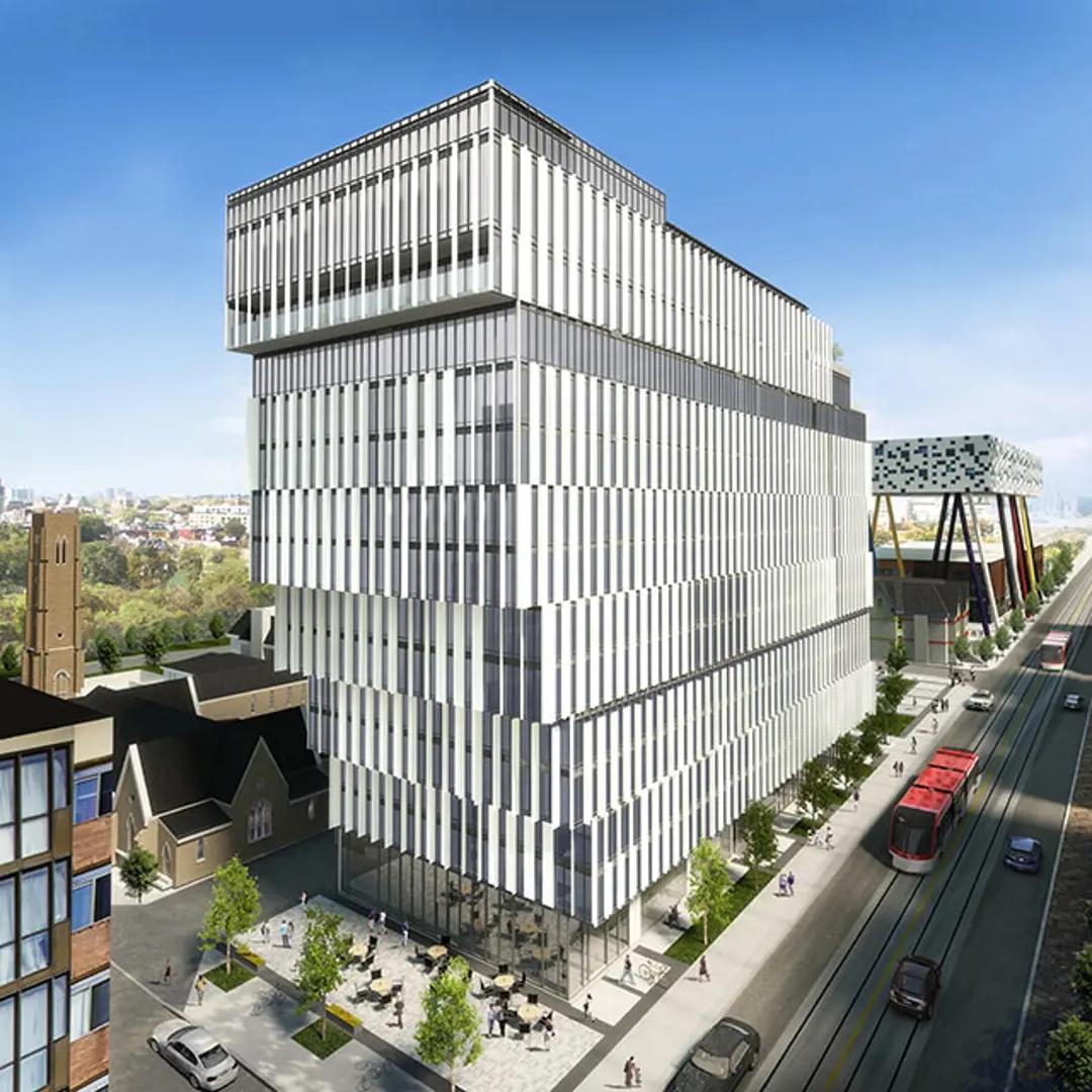 50 mccaul street