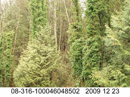 lot 1 browning place