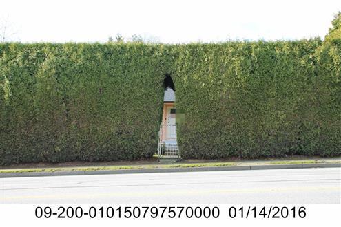 7057 oak